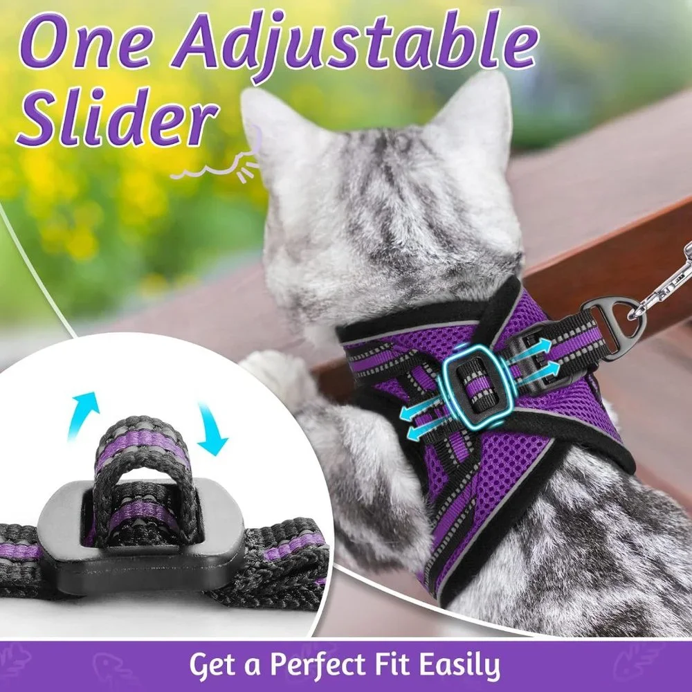 Cat walking harness